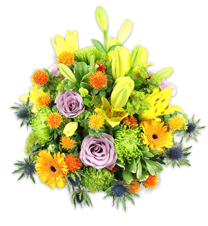 Framed by a stark white backdrop that highlights every petal and bract, this abundant bouquet is a study in colour harmony and textural contrast. The composition leans warm-brilliant yellows and lively oranges-while being tempered by gentle lavender-purple roses and a ribbon of fresh, verdant greens; cool blue-grey thistles act as a sculptural foil to the softer forms. Several yellow Asiatic lilies command vertical emphasis: their broad, speckled petals and open cups reveal delicate stamens, while companion buds arc upwards like promises of more bloom. Two or more pale mauve roses sit nearer the centre, their classic spirals soothing the eye and lending a romantic calm to the energetic oranges of the gerberas, whose broad, flat faces and darker centers read like suns scattered through the arrangement. The massing effect comes from lime-green button or cushion chrysanthemums that produce a ruffled, almost cushiony surface; interspersed are small spherical orange and golden accent blooms-spiky and playful-adding points of gleam and movement. Several deep indigo Eryngium (sea thistle) heads peek out from lower and side positions, their star-shaped, bristled bracts lending a slightly rustic, textural edge that modernises the bouquet. Lush foliage-broad lily leaves and smaller glossy greenery-provides structure and a breath of countryside freshness. The overall mood is celebratory and comforting, a bouquet that reads as both contemporary and timeless, appropriate for anniversaries, thank-yous or sympathy alike. Florally literate and crafted with the quiet expertise of a Brentwood maker near the Cathedral and town centre, it's made to arrive fresh and to make a warm impression.